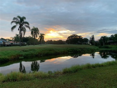 VACATION WHERE YOU LIVE... UNIQUE RARE OPPORTUNITY to own this on East Lake Woodlands Country Club in Florida - for sale on GolfHomes.com, golf home, golf lot