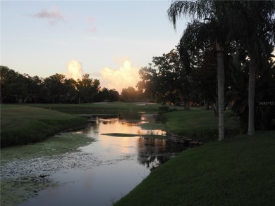 VACATION WHERE YOU LIVE... UNIQUE RARE OPPORTUNITY to own this on East Lake Woodlands Country Club in Florida - for sale on GolfHomes.com, golf home, golf lot