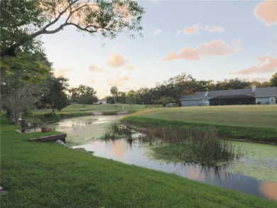 VACATION WHERE YOU LIVE... UNIQUE RARE OPPORTUNITY to own this on East Lake Woodlands Country Club in Florida - for sale on GolfHomes.com, golf home, golf lot