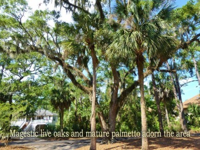 This is a terrific opportunity to own a permanent, 2nd or rental on The Plantation Course At Edisto in South Carolina - for sale on GolfHomes.com, golf home, golf lot