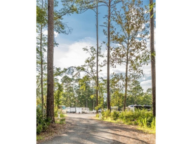 Discover this stunning traditional-style home located in the on Oak Grove Island Golf and Country Club in Georgia - for sale on GolfHomes.com, golf home, golf lot