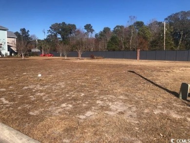 Looking for a place to build? Come see this amazing lot in on Tidewater Golf Club and Plantation in South Carolina - for sale on GolfHomes.com, golf home, golf lot