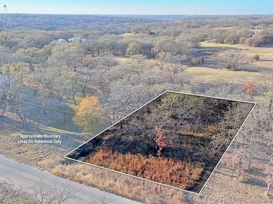 Experience the peaceful lifestyle of Nocona Hills with this on Nocona Hills Golf Course in Texas - for sale on GolfHomes.com, golf home, golf lot