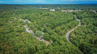 This stunning, updated studio is tucked away among the trees on on Mountain Ranch Golf Club in Arkansas - for sale on GolfHomes.com, golf home, golf lot