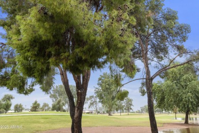 Golf course treasure! Must have 2BR, 2BA PLUS den/office home in on Sun Lakes Country Club in Arizona - for sale on GolfHomes.com, golf home, golf lot