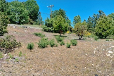 Build Your Dream Retreat in the Heart of Lake Arrowhead Woods - on Lake Arrowhead Country Club in California - for sale on GolfHomes.com, golf home, golf lot