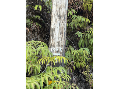 Build your dream retreat on this wooded, conveniently located on Volcano Golf and Country Club in Hawaii - for sale on GolfHomes.com, golf home, golf lot