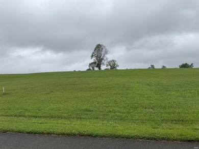 Are you seeking a luxurious home site with large private lots in on The Eagle Pointe Golf Resort in Indiana - for sale on GolfHomes.com, golf home, golf lot