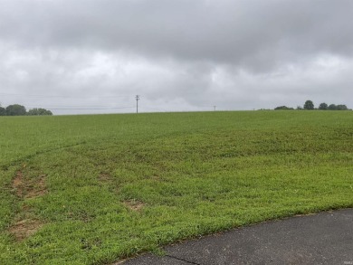 Are you seeking a luxurious home site with large private lots in on The Eagle Pointe Golf Resort in Indiana - for sale on GolfHomes.com, golf home, golf lot