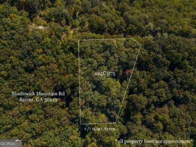 Beautiful opportunity to own a generous lot on Little Hendricks on Bent Tree Golf Course in Georgia - for sale on GolfHomes.com, golf home, golf lot