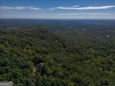 Beautiful opportunity to own a generous lot on Little Hendricks on Bent Tree Golf Course in Georgia - for sale on GolfHomes.com, golf home, golf lot