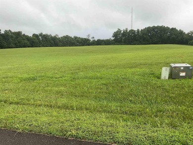 Are you seeking a luxurious home site with large private lots in on The Eagle Pointe Golf Resort in Indiana - for sale on GolfHomes.com, golf home, golf lot