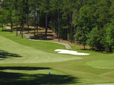 Approximately .49 acre home site in the Monticello section of on Monticello Golf Club At Savannah Lakes in South Carolina - for sale on GolfHomes.com, golf home, golf lot