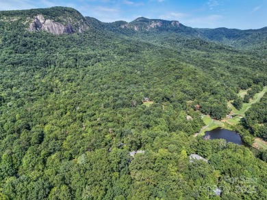 Located behind the gates, and a short golf cart ride to all on Rumbling Bald Resort on Lake Lure in North Carolina - for sale on GolfHomes.com, golf home, golf lot
