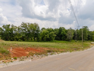 LOCATION, LOCATION, LOCATION! Using the perfect canvas for your on Southern Hills Golf and Country Club in Tennessee - for sale on GolfHomes.com, golf home, golf lot