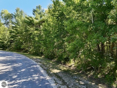 Welcome to Dockside in Kalkaska, where you will find lovely on Twin Birch Golf Club in Michigan - for sale on GolfHomes.com, golf home, golf lot