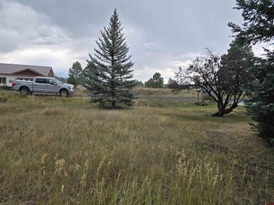 Laura Daniels, Team Pagosa Realty Group, C: , laura,  : Drive on on Pagosa Springs Golf Club in Colorado - for sale on GolfHomes.com, golf home, golf lot