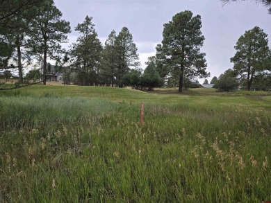 Laura Daniels, Team Pagosa Realty Group, C: , laura,  : Drive on on Pagosa Springs Golf Club in Colorado - for sale on GolfHomes.com, golf home, golf lot