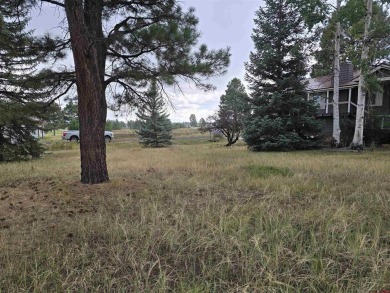 Laura Daniels, Team Pagosa Realty Group, C: , laura,  : Drive on on Pagosa Springs Golf Club in Colorado - for sale on GolfHomes.com, golf home, golf lot
