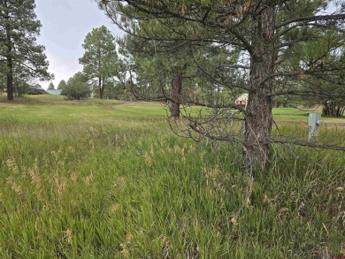 Laura Daniels, Team Pagosa Realty Group, C: , laura,  : Drive on on Pagosa Springs Golf Club in Colorado - for sale on GolfHomes.com, golf home, golf lot