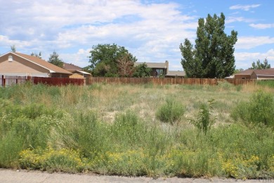Build your dream home here int the desirable Pueblo West Golf on Desert Hawk At Pueblo West in Colorado - for sale on GolfHomes.com, golf home, golf lot