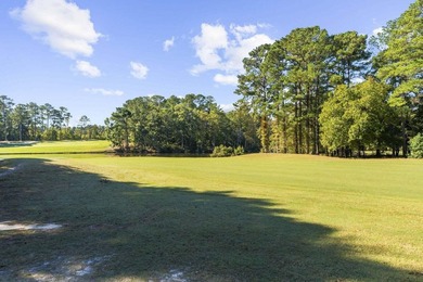 Set along the 10th fairway of the Santee National Golf Club on Santee National Golf Course in South Carolina - for sale on GolfHomes.com, golf home, golf lot