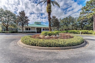 Discover your dream home in the heart of Summerfield Village in on The River Club in Florida - for sale on GolfHomes.com, golf home, golf lot