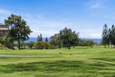 Nestled in the heart of Waikoloa Village, Waikoloa Villas offers on Waikoloa Village Golf Club in Hawaii - for sale on GolfHomes.com, golf home, golf lot