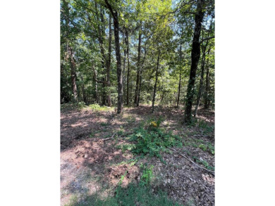 **Unlock the Potential of This Stunning One-Acre Lot**  Nestled on DeSoto Golf Course in Arkansas - for sale on GolfHomes.com, golf home, golf lot