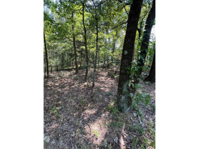 **Unlock the Potential of This Stunning One-Acre Lot**  Nestled on DeSoto Golf Course in Arkansas - for sale on GolfHomes.com, golf home, golf lot