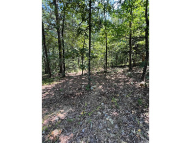 **Unlock the Potential of This Stunning One-Acre Lot**  Nestled on DeSoto Golf Course in Arkansas - for sale on GolfHomes.com, golf home, golf lot