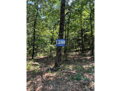 **Unlock the Potential of This Stunning One-Acre Lot**  Nestled on DeSoto Golf Course in Arkansas - for sale on GolfHomes.com, golf home, golf lot