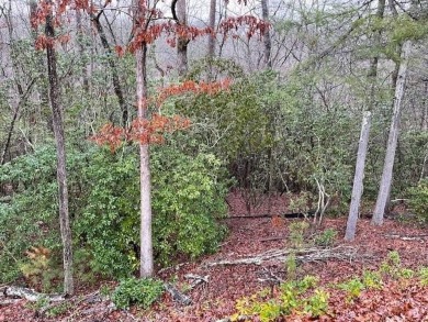 Enjoy an active lifestyle at The Village on Blackwell Creek on Big Canoe Golf Club - Cherokee in Georgia - for sale on GolfHomes.com, golf home, golf lot