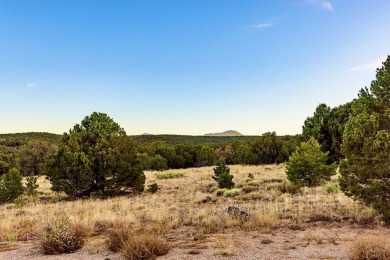IMN Heaven Ranch offers an excellent opportunity to hunt elk and on Walsenburg Golf Club in Colorado - for sale on GolfHomes.com, golf home, golf lot