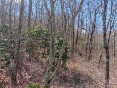 1.49+/- acre lot with mountain views! Located inside the gated on Old Edwards Club in North Carolina - for sale on GolfHomes.com, golf home, golf lot