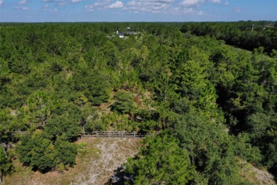 5.17 Acres in Palm Coast - Privacy, Space, and Endless on Conservatory Course At Hammock Beach Resort in Florida - for sale on GolfHomes.com, golf home, golf lot