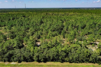 5.17 Acres in Palm Coast - Privacy, Space, and Endless on Conservatory Course At Hammock Beach Resort in Florida - for sale on GolfHomes.com, golf home, golf lot