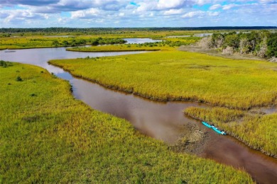 5.17 Acres in Palm Coast - Privacy, Space, and Endless on Conservatory Course At Hammock Beach Resort in Florida - for sale on GolfHomes.com, golf home, golf lot