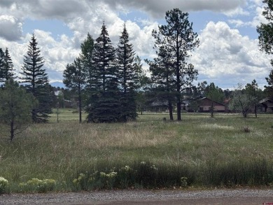 Marcie Lewis, Jann C Pitcher Real Estate, C: , marcie,  : Don't on Pagosa Springs Golf Club in Colorado - for sale on GolfHomes.com, golf home, golf lot