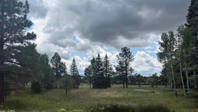 Marcie Lewis, Jann C Pitcher Real Estate, C: , marcie,  : Don't on Pagosa Springs Golf Club in Colorado - for sale on GolfHomes.com, golf home, golf lot