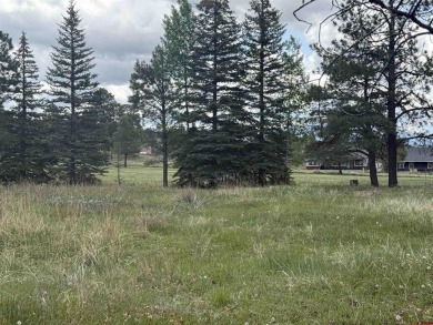 Marcie Lewis, Jann C Pitcher Real Estate, C: , marcie,  : Don't on Pagosa Springs Golf Club in Colorado - for sale on GolfHomes.com, golf home, golf lot