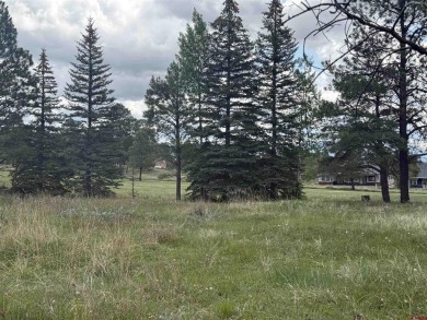 Marcie Lewis, Jann C Pitcher Real Estate, C: , marcie,  : Don't on Pagosa Springs Golf Club in Colorado - for sale on GolfHomes.com, golf home, golf lot