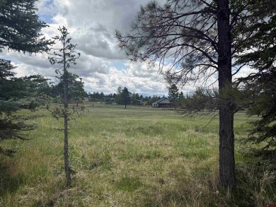 Marcie Lewis, Jann C Pitcher Real Estate, C: , marcie,  : Don't on Pagosa Springs Golf Club in Colorado - for sale on GolfHomes.com, golf home, golf lot