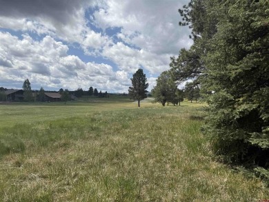 Marcie Lewis, Jann C Pitcher Real Estate, C: , marcie,  : Don't on Pagosa Springs Golf Club in Colorado - for sale on GolfHomes.com, golf home, golf lot