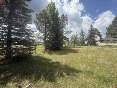 Marcie Lewis, Jann C Pitcher Real Estate, C: , marcie,  : Don't on Pagosa Springs Golf Club in Colorado - for sale on GolfHomes.com, golf home, golf lot