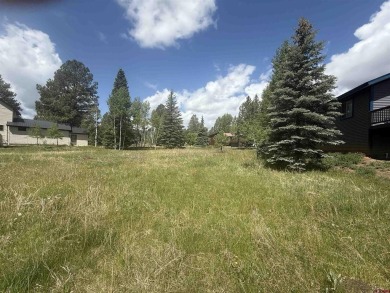 Marcie Lewis, Jann C Pitcher Real Estate, C: , marcie,  : Don't on Pagosa Springs Golf Club in Colorado - for sale on GolfHomes.com, golf home, golf lot