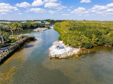 COMPLETELY RENOVATED... UPDATED KITCHEN  BATHROOMS, NEW WINDOWS on Pelican Pointe 9 Hole Course in Florida - for sale on GolfHomes.com, golf home, golf lot