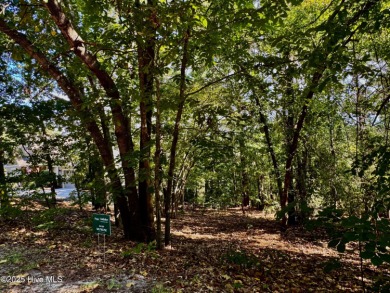 Great lot in No. 6.!
Priced to sell to build your dream on Pinehurst  No. 6 Golf Course in North Carolina - for sale on GolfHomes.com, golf home, golf lot