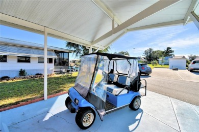 FLORIDA RETIREMENT LIFESTYLE at it's BEST! Located in a 55+ on Southern Dunes Golf and Country Club in Florida - for sale on GolfHomes.com, golf home, golf lot