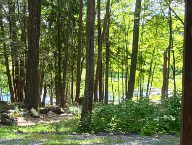 Entertainers delight inside and out with surprise lake view and on Lords Valley Country Club, Inc in Pennsylvania - for sale on GolfHomes.com, golf home, golf lot